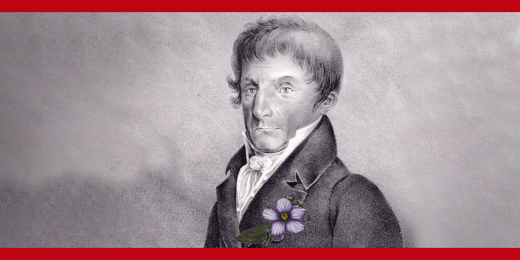419 Olvidando a Antonio Salieri, por Martín Llade